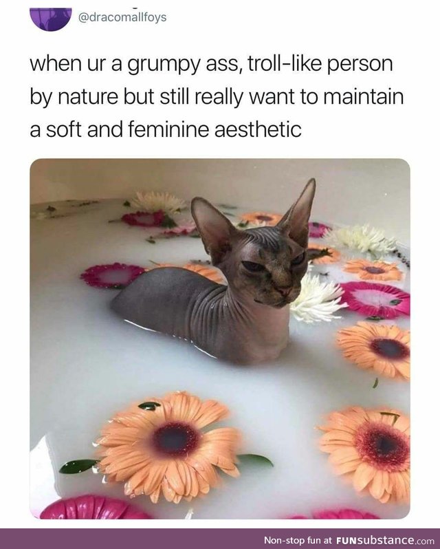 Grumpy ass troll person, but femininely tho