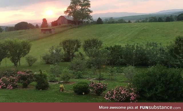 I walked outside to my parents new backyard and I was speechless... The country side is