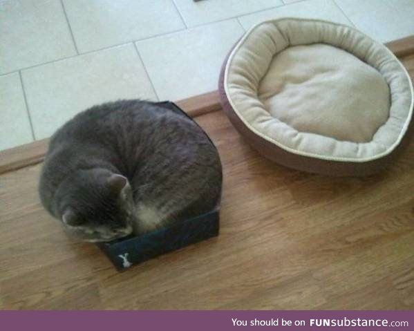 Cat logic.