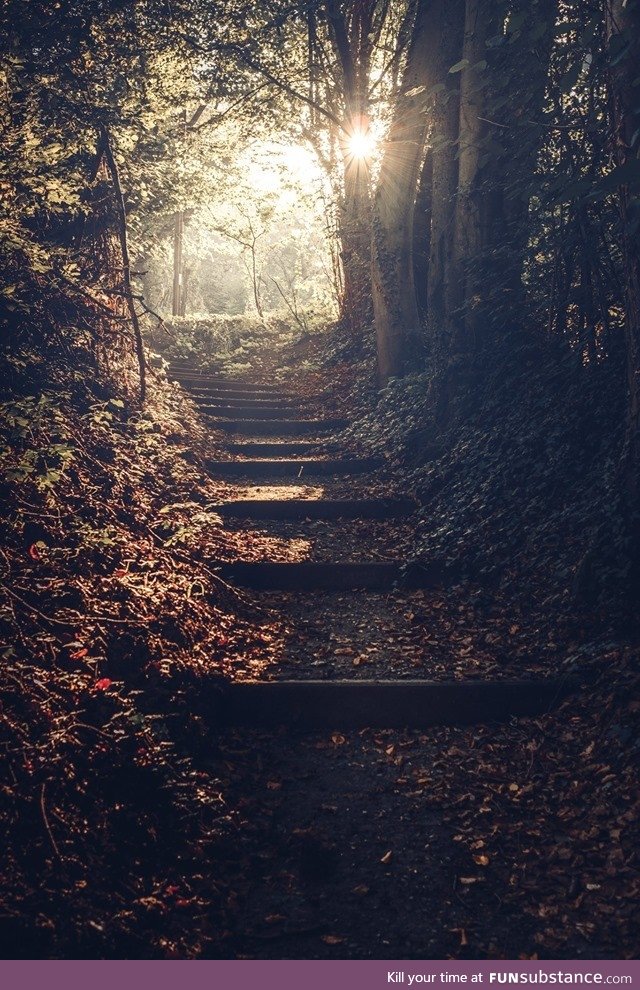 A foggy morning walk in my hometown - 10am - Weinheim/Germany