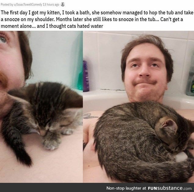 The cat in the bath knows a lot about naps