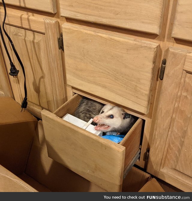 Guess this is her drawer now