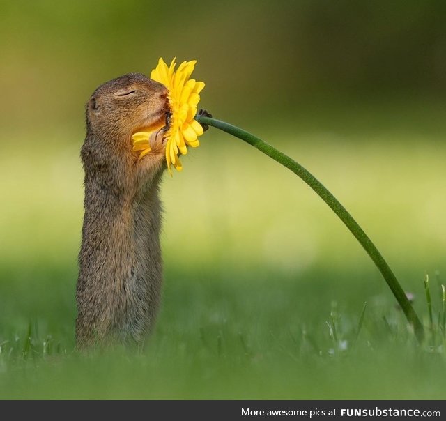 Take time to smell the flowers