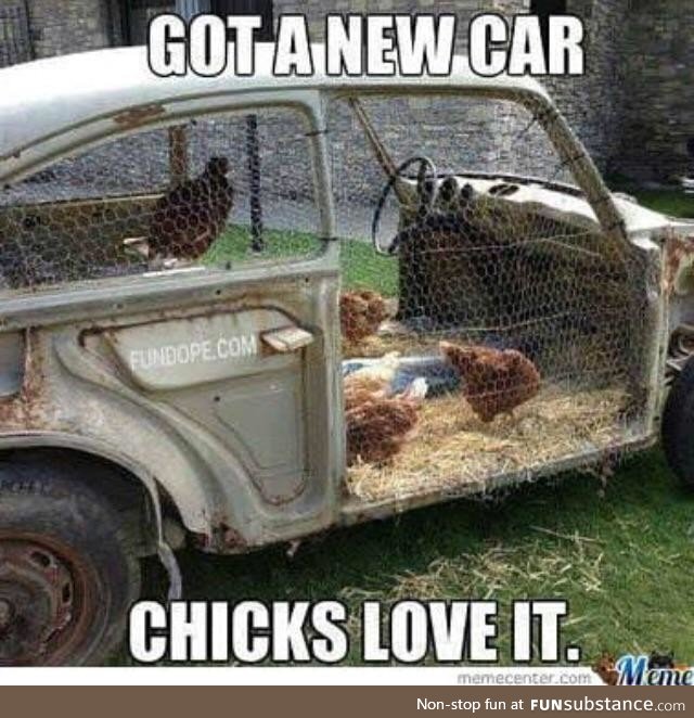 Chicks love it!