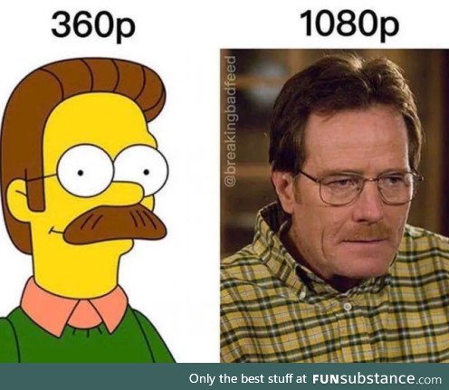 I can't believe they made Ned Flanders a real person!