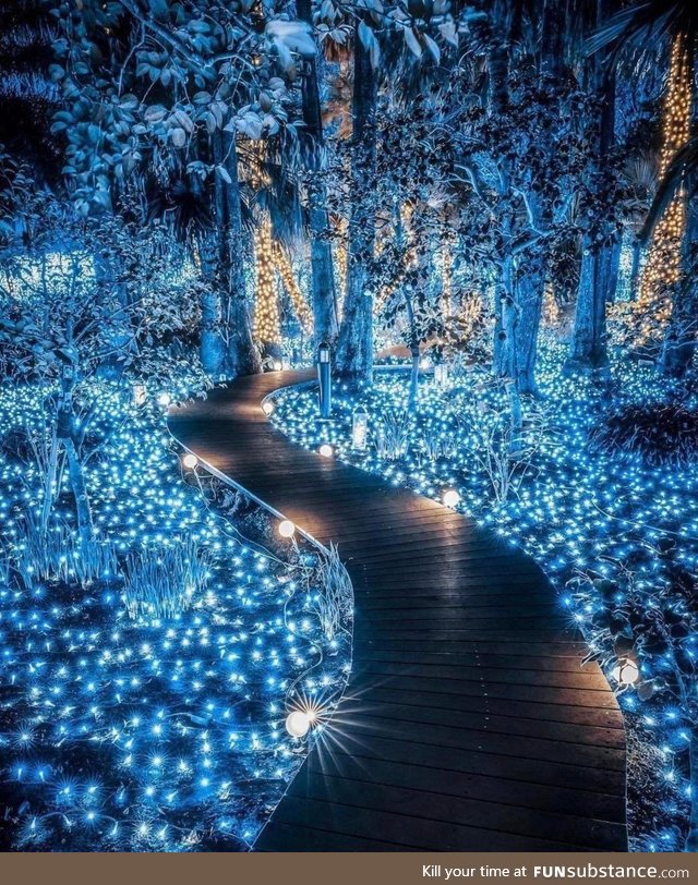 Fairy walk in Japan