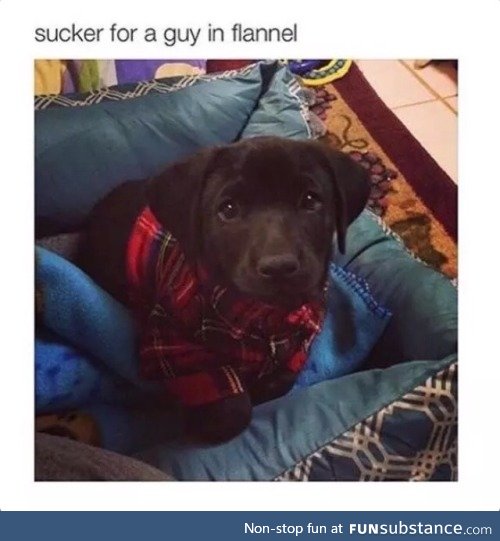 A guy in flannel