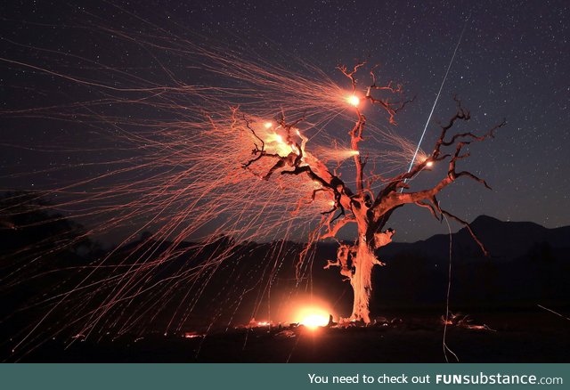 A meteor streaks across the night sky as gusty winds create an ember cast on a valley oak