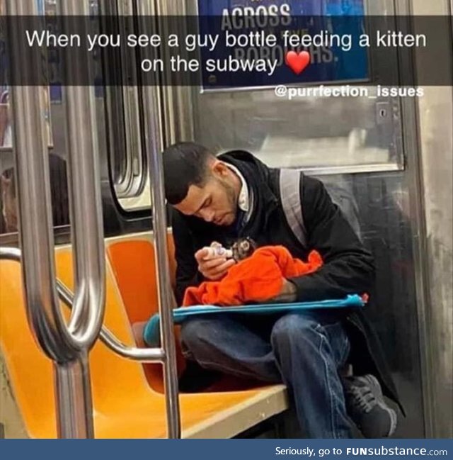 You love to see it (Guy bottlefeeding a kitten)