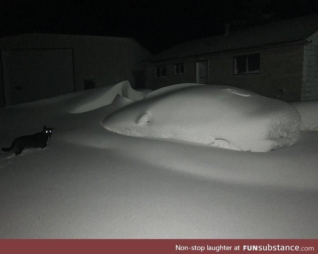 Car is a bit snowed in this morning