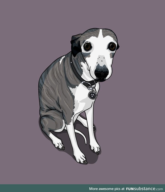 I drew my friend’s dog, Hazel