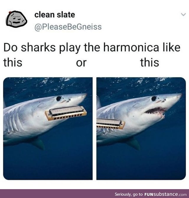My little har-Monica shark. Awww!