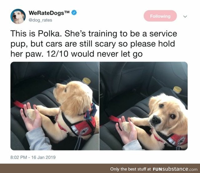 Polka (cars are still scary)