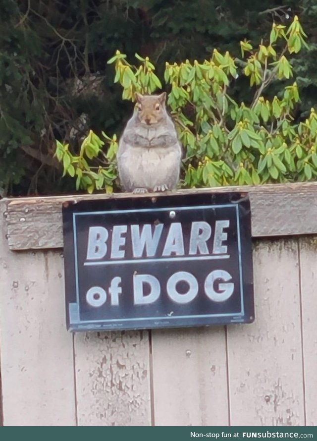 Mom saw this chonker on a walk