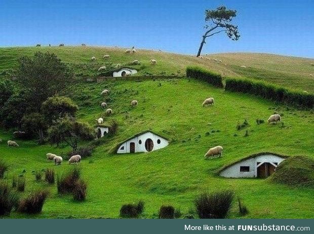 Hobbit village, new zealand