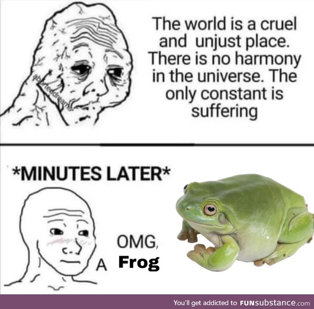 Froggo Fun #396 - Truth
