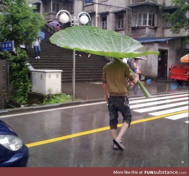Just a guy walking down the street using a leaf as an umbrella
