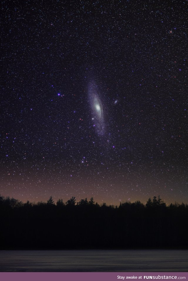 The Andromeda galaxy over a forest