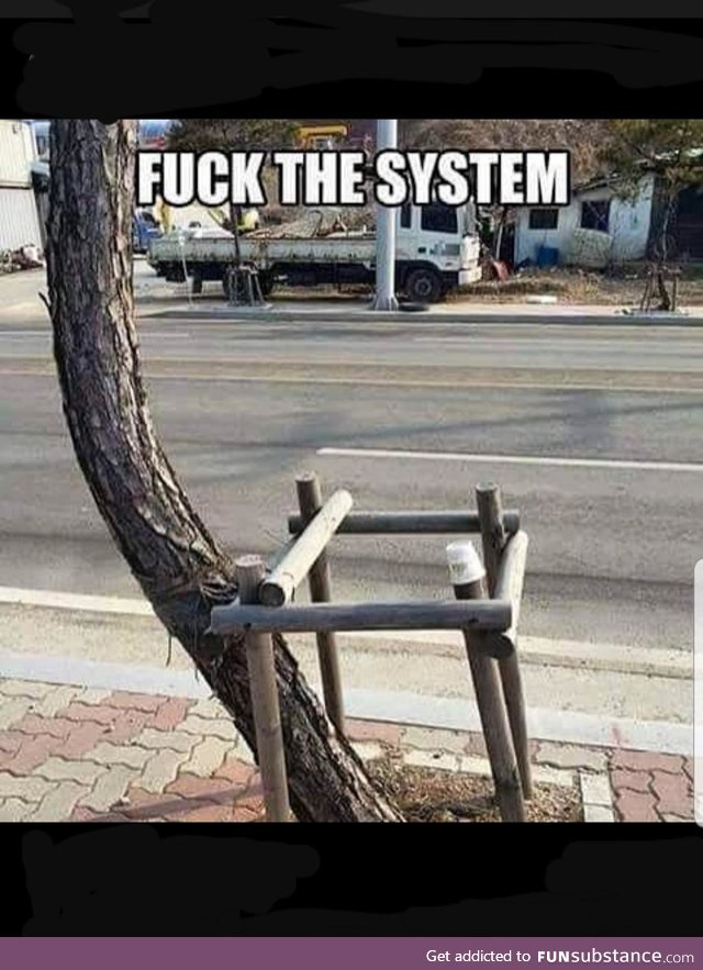 f*ck the system