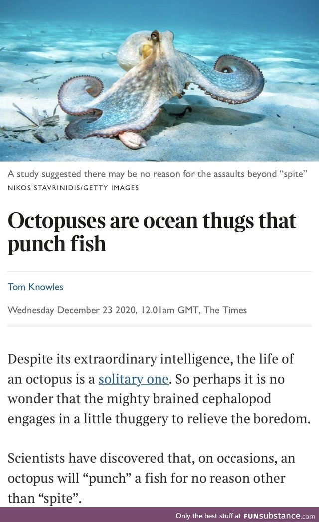 The fish community has had enough with the octopus abuse