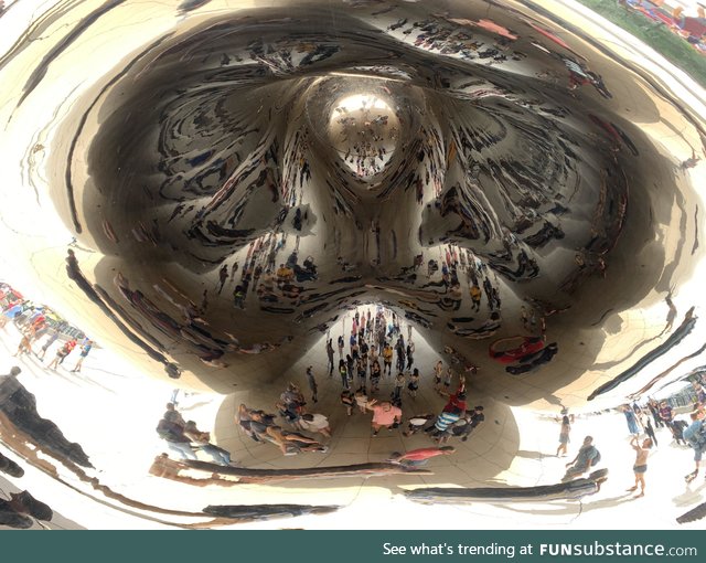 What the underside of The Bean in Chicago looks like