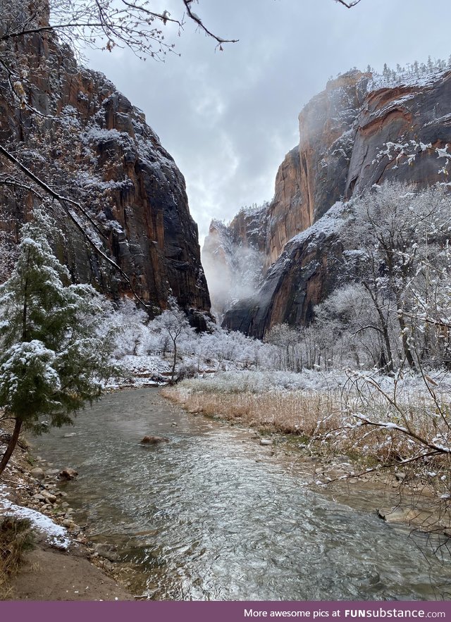 Zion National Park after a pretty amazing snowfall. [OC]