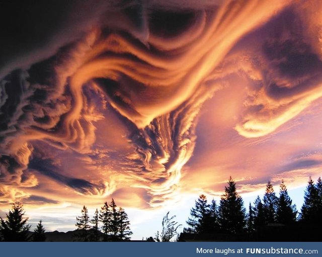 Asperatus clouds