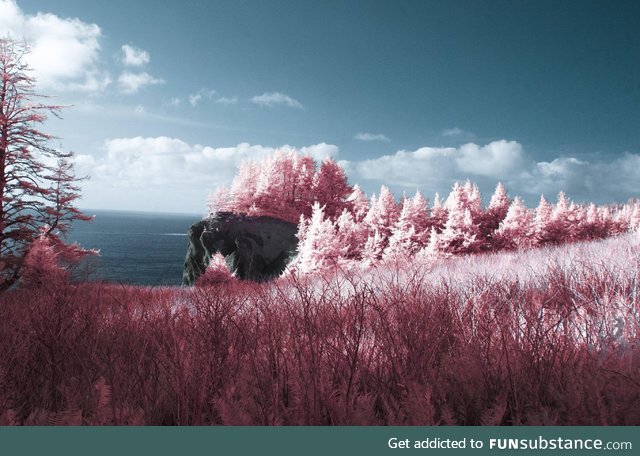 The Oregon Coast, in infrared