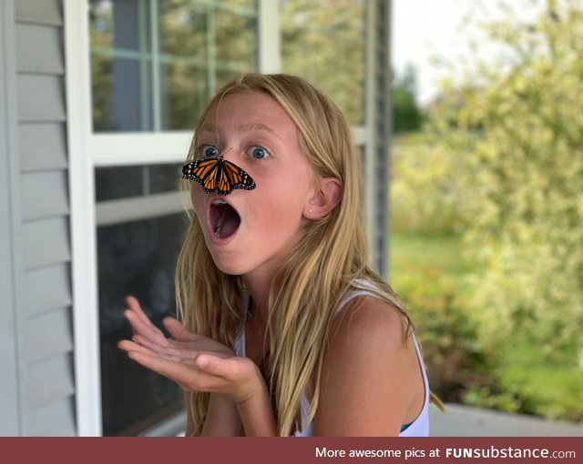 A monarch we raised and were releasing decided to land on my daughter’s nose