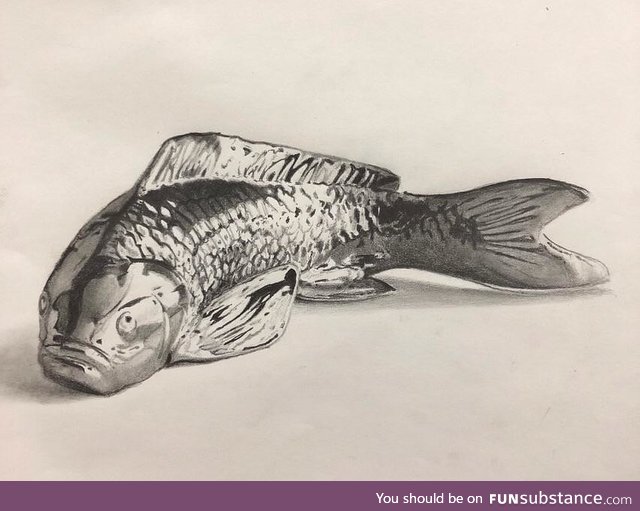 I drew a picture of a fish!