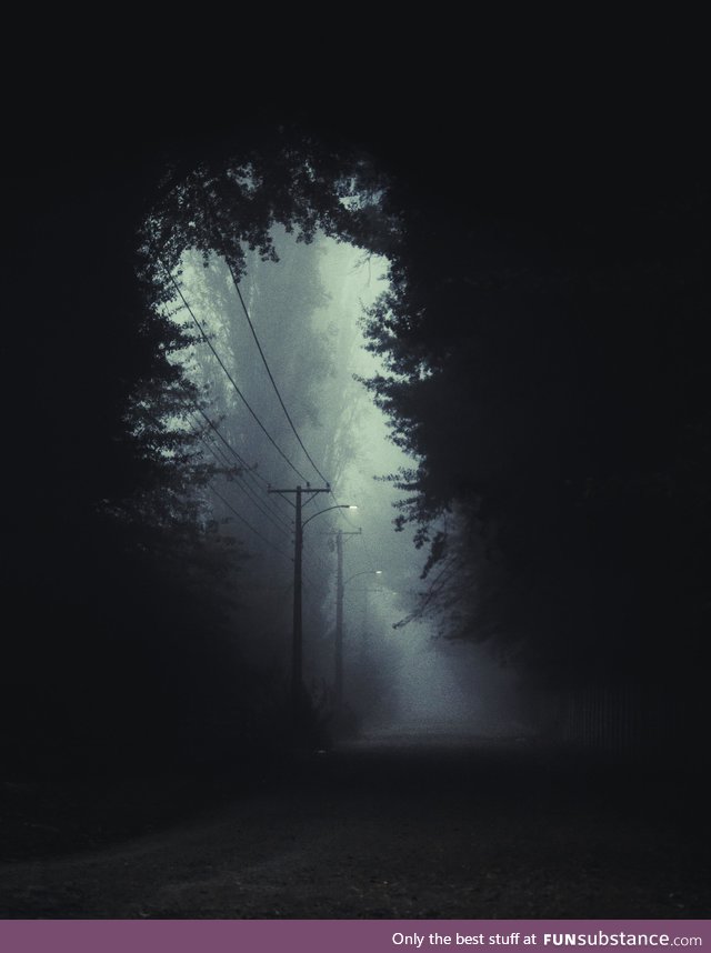 Took a photo of this passage of trees in a foggy day and edited it a bit to make it