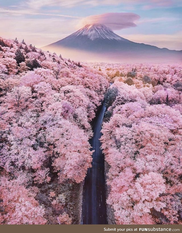 Beautiful photo taken in Japan