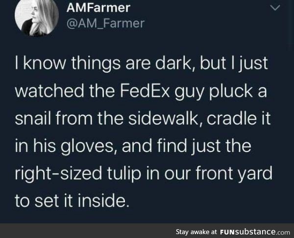 Things are dark, but the FedEx Guy saved a snail