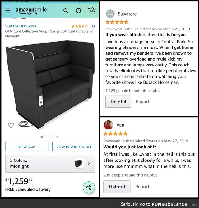 I Couldn't Figure Out the Purpose of this Couch. The Reviews Answered All of My Questions