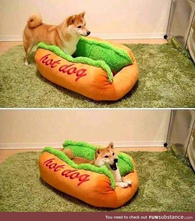 Hot dog