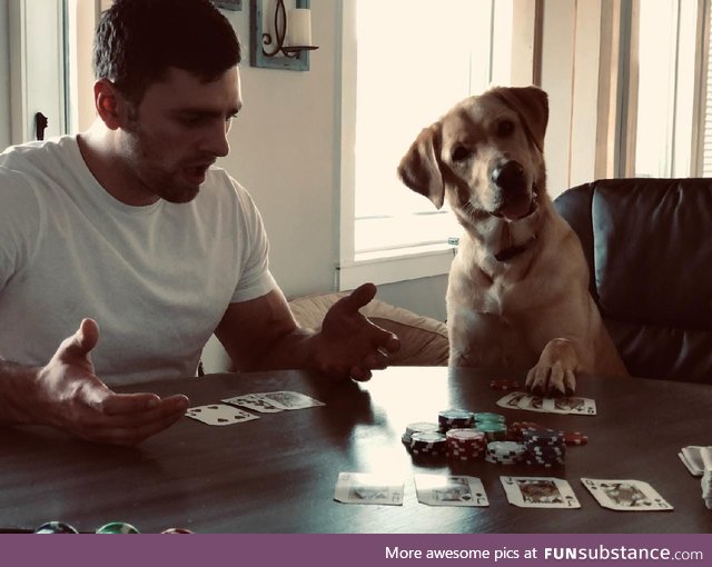 Ruff time winning against this pup