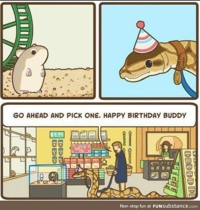 Snakes can be good boys too and deserve birthday presents