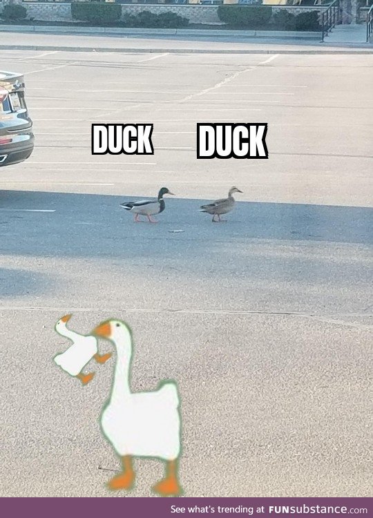 Untitled Goose Meme