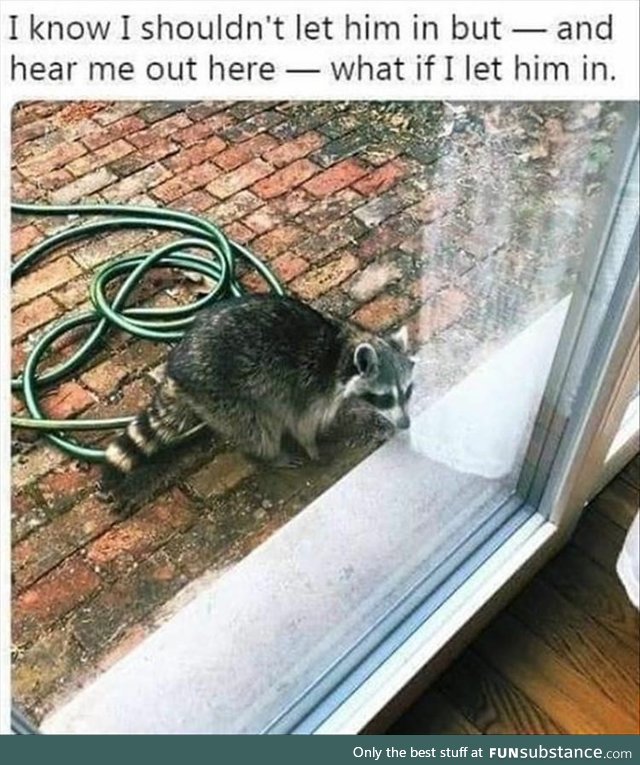 What if I let him in