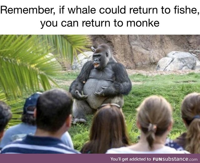 Monke give speech