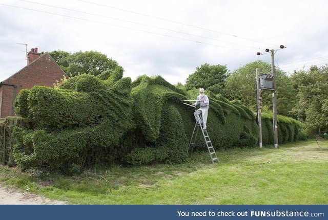 John Brooker of Norfolk, UK, spent 13 years turning his 150-Ft-long hedge into a giant