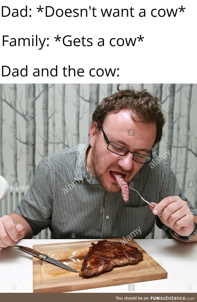 Enjoying the cow