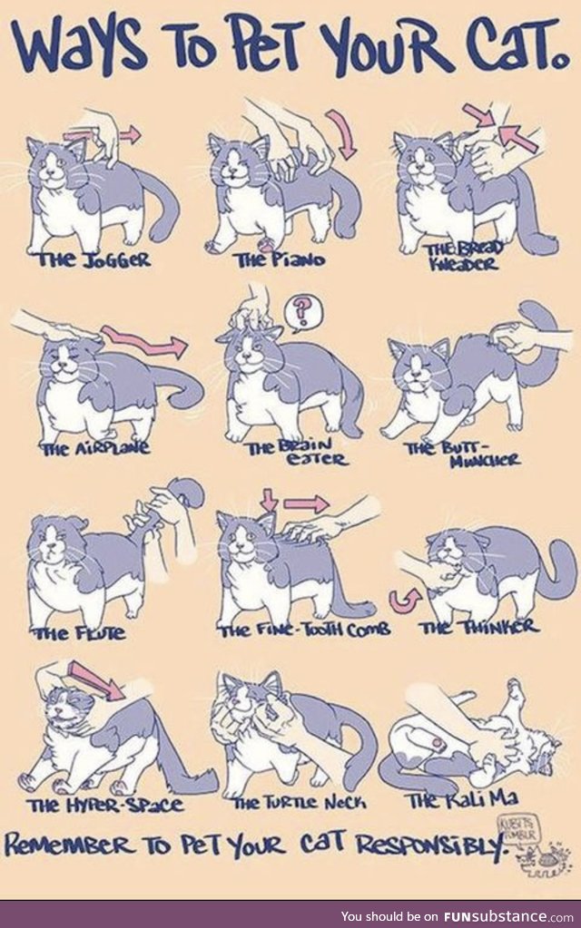 Top 12 cat scratches
