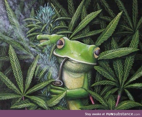 Froggo Fun #420 - "Four hundred and two tens. Light thine pipe, thou common dandy."