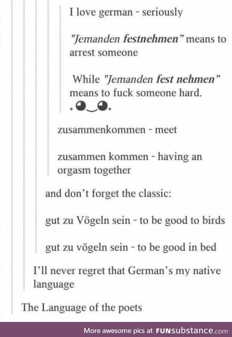 German - The language of poets