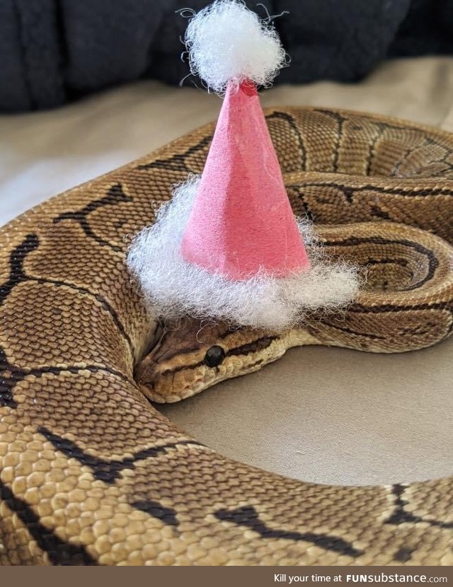 Making Hats For Snakes
