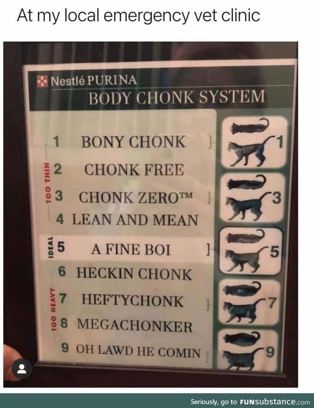 Rate your chonk