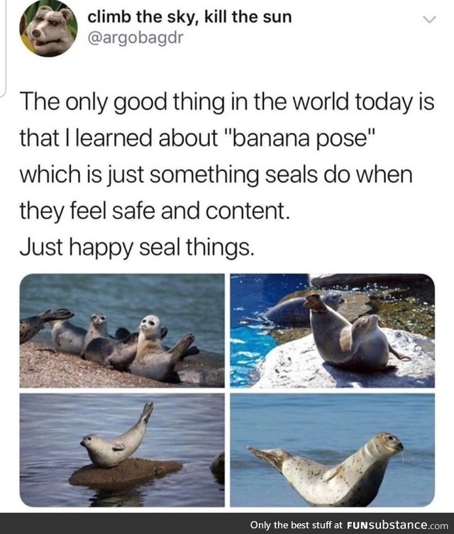 Banana pose