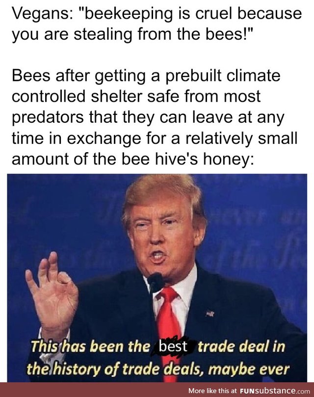 Vegans vs Beekeepers
