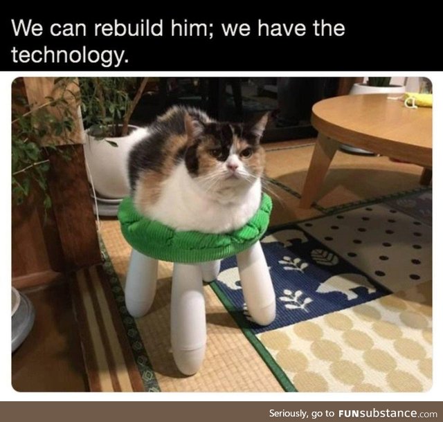 We can rebuild him